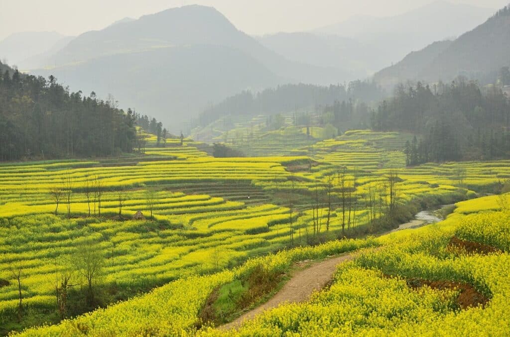 Chinese Gamblers Head to Countryside Amid Crackdown on Betting Rings
